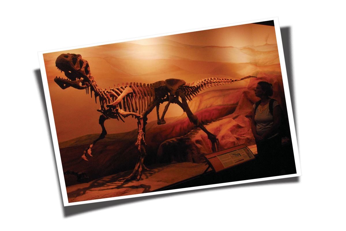 Museu-paleontológico-de-Trelew