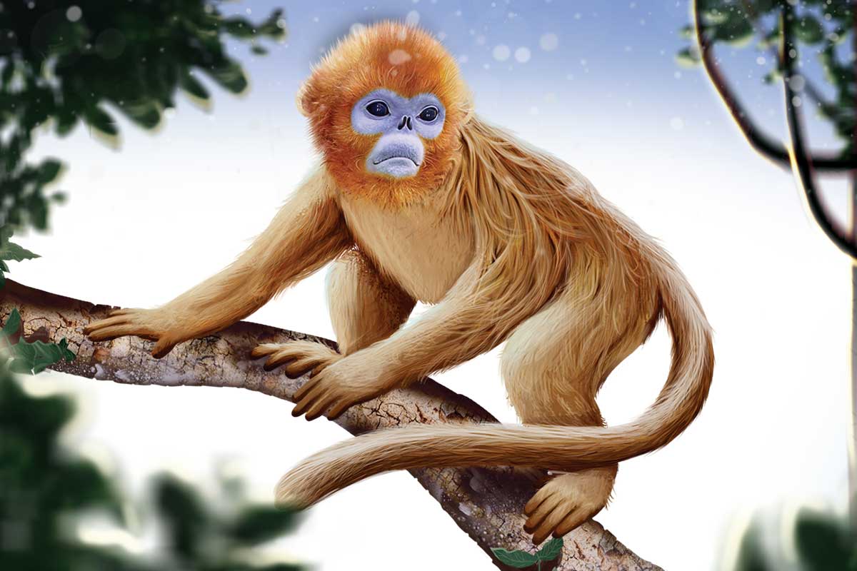 Lindo macaco passando tempo na natureza